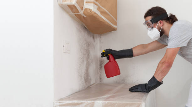 Professional Mold Remediation technician working in Grant, MI