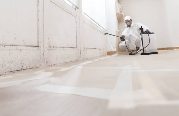 24/7 Emergency Mold Remediation experts in Grant, MI